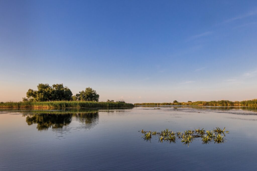 Danube Delta, Romania